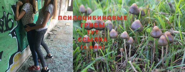 гидра Семилуки