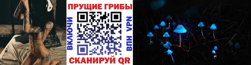 Галлюциногенные грибы Psilocybine cubensis Кстово
