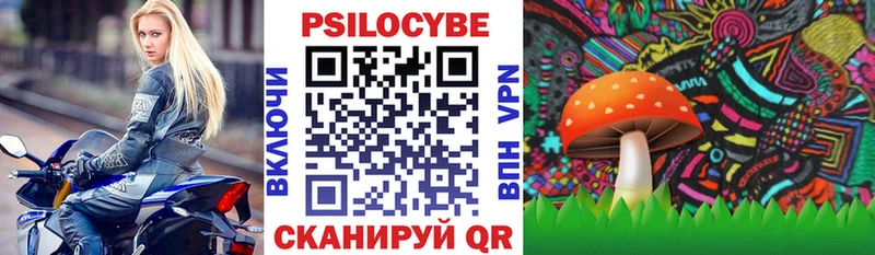Галлюциногенные грибы Cubensis  Кстово 